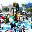 숲속마을로 이미지