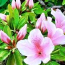 무학농원2 이미지