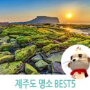 미리네 민박 이미지