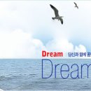 주식회사에스티엑스 Daum카페