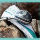 글로리힐 이미지