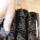 춘천김밥 이미지