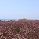 멍'블랑 이미지