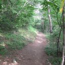 금오산 등산로