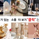 비비드독 이미지