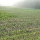 둔내농장 이미지