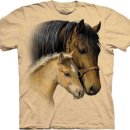 더마운틴 이미지