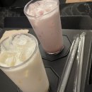 달빛여우 이미지