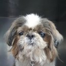 옥천읍테니스장 이미지