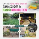 양명초교 이미지