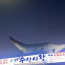 강원도 강릉 주문진 수산시장 대게 킹크랩 맛집,건어물 구매 / 청주무심천대게