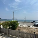 테라머뭄 이미지