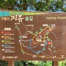 새구봉천 이미지