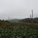 고라농장 이미지