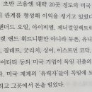 유에스모터스 이미지