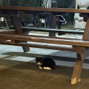 부여축산농협본점 이미지