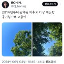 1박2일 불짬뽕 이미지