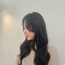 맘모스미용실 | 서초역 미용실 라브리헤어 긴머리 엘리자베스 펌 후기 (ft.퍼스널헤어컨설팅)