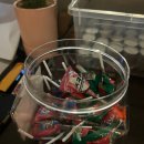 심야주택 이미지