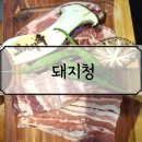 돼지청 이미지