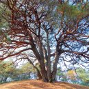 답곡리마을 이미지