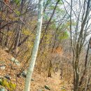 선암골생태유람길 이미지