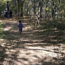 숲속둥지어린이집 이미지