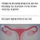 '생리대', 남자가 입어봤다[남기자의 체헐리즘] 이미지