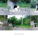 소리산참숯마을 이미지
