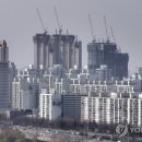 대조-009 이미지