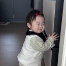 몽빵
