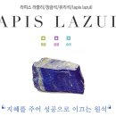 뮤제이옹 이미지