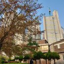 열우물숲공원 이미지