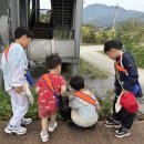 늘푸른 어린이집 이미지