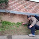 구로남초등학교 이미지