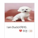 덕지농장 이미지