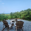 지오 파인트리 이미지