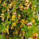 송죽가헌 이미지