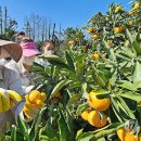 남원읍-72 이미지