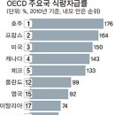 자연석유 이미지