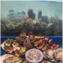 보물바다 이미지