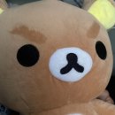 내 게으름이 멈추지 않는 탓일까? ㅜㅜ.｡oO