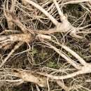 신현대한의원 이미지