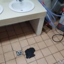 괘법초등학교 이미지