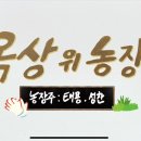 태용농장 네이버블로그