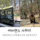 에버랜드 오픈런 사파리 스마트줄서기 성공후기