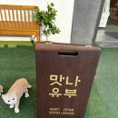맛나유부 이미지