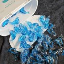 돌고래약품 이미지