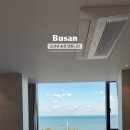 펜톤나인 이미지