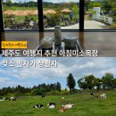 연동목장 | 제주도 색다른 여행지 추천 아침미소목장 | 젖소 팔자 상팔자가 따로 없음